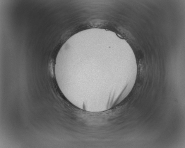 X0000073840042200609071552