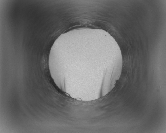 X0000073840043200609071552