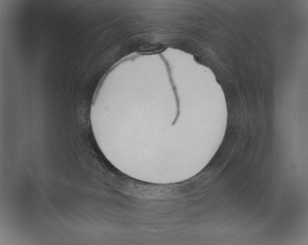 X0000073840044200609071552