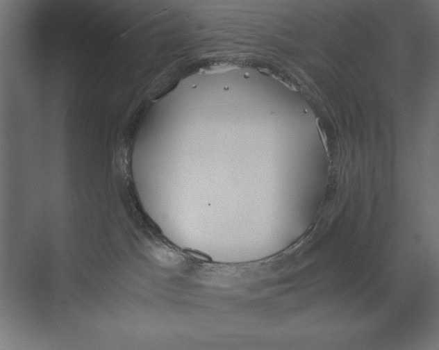 X0000073840045200609071552