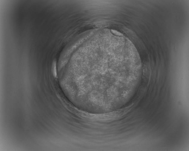 X0000073840046200609071552