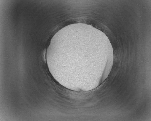 X0000073840047200609071552