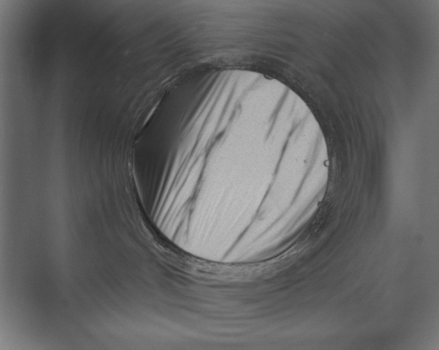 X0000073840048200609071552