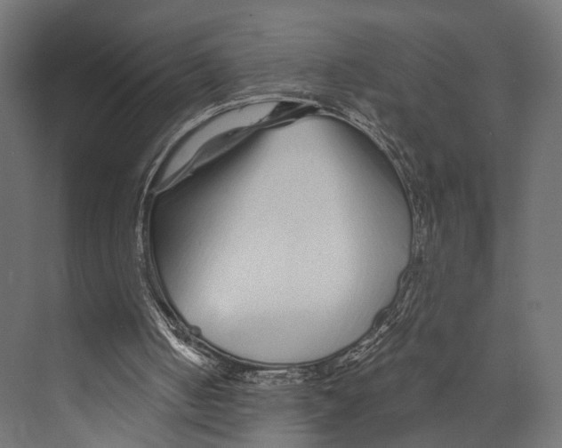 X0000073840050200609071551