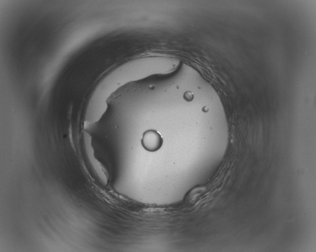 X0000073840052200609071551