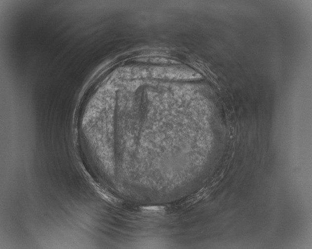 X0000073840053200609071551