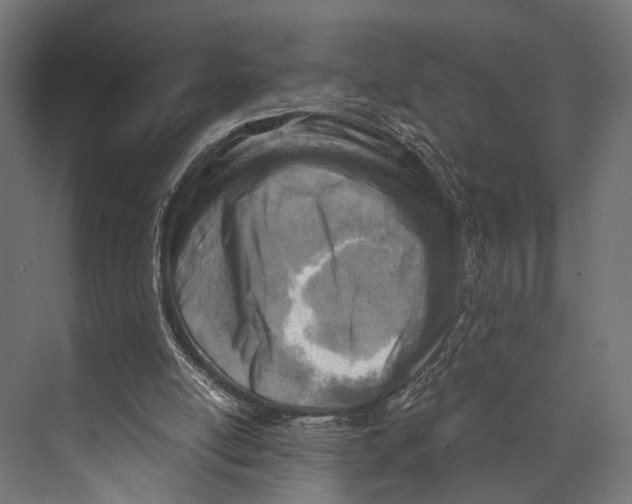 X0000073840054200609071551