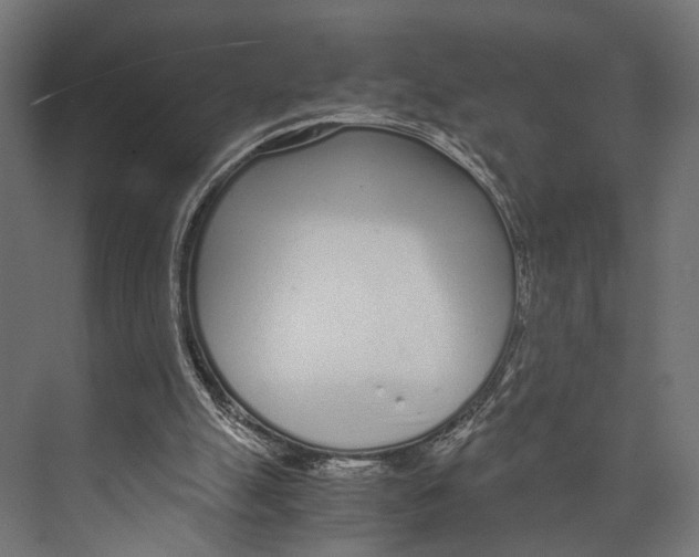 X0000073840055200609071551