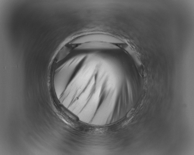 X0000073840056200609071552