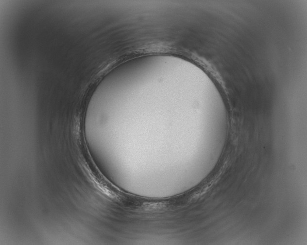 X0000073840057200609071552