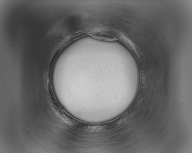 X0000073840059200609071552