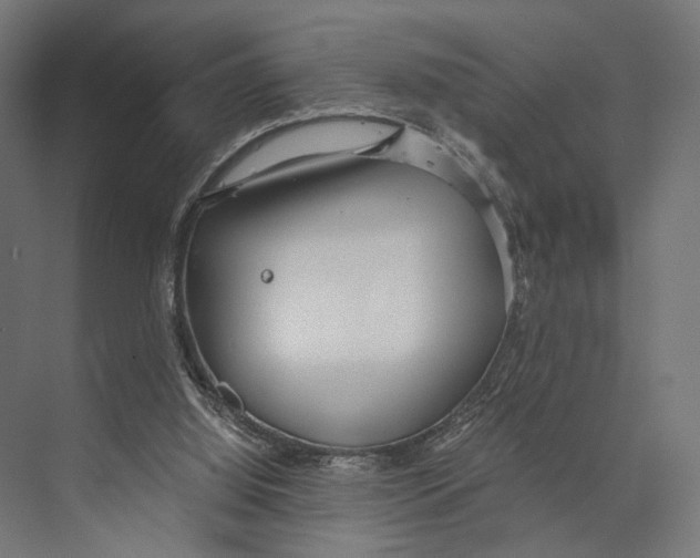 X0000073840060200609071552