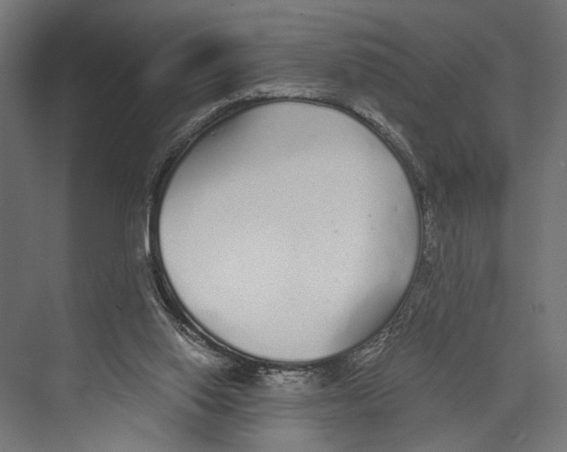 X0000073840062200609071552