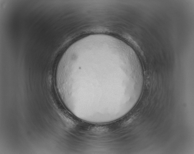 X0000073840063200609071552