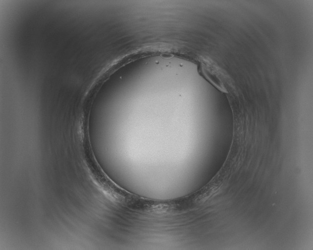 X0000073840064200609071552