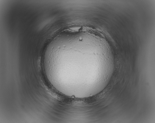 X0000073840066200609071552