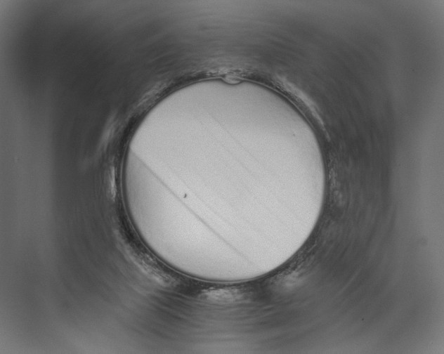 X0000073840067200609071552