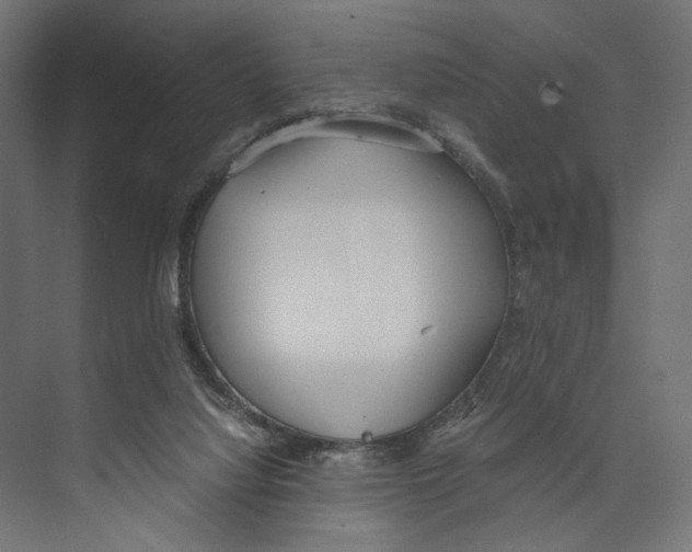 X0000073840068200609071552