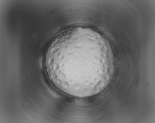 X0000073840070200609071552