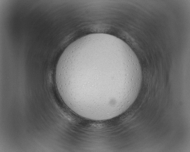 X0000073840071200609071552