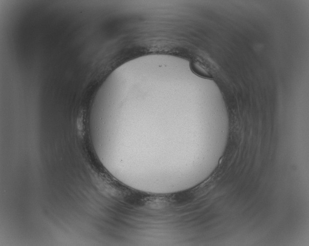 X0000073840074200609071552