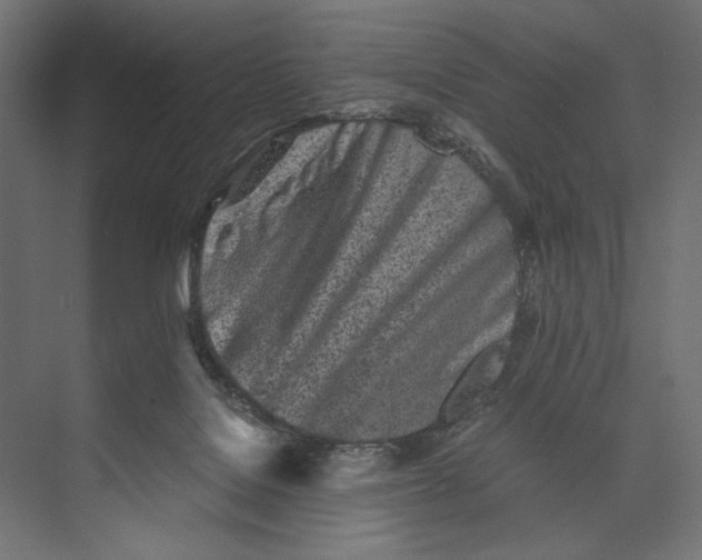 X0000073840076200609071552