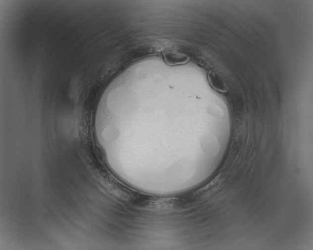 X0000073840078200609071552