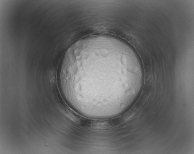 X0000073840081200609071552