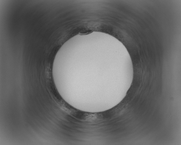 X0000073840083200609071552