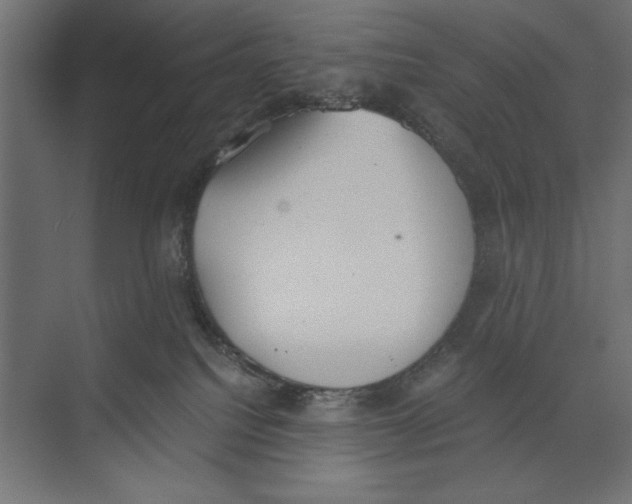 X0000073840088200609071552