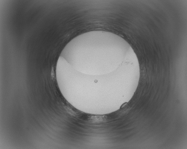 X0000073840089200609071552