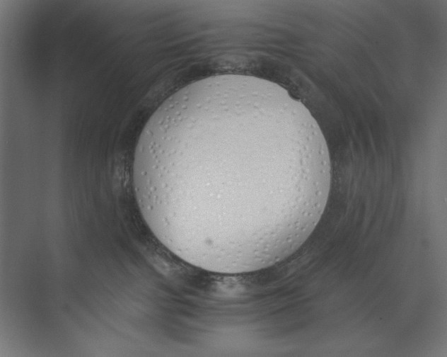 X0000073840091200609071552