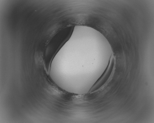 X0000073840092200609071552