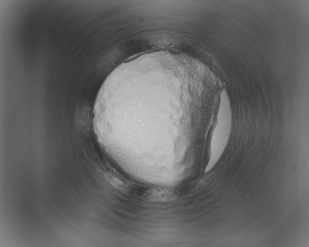 X0000073840093200609071552