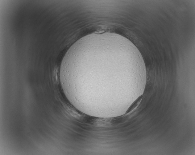 X0000073840094200609071552