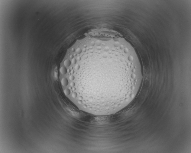 X0000073840095200609071552