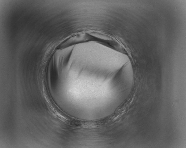 X0000073840097200609071551