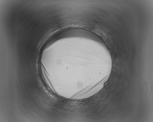 X0000073840098200609071551