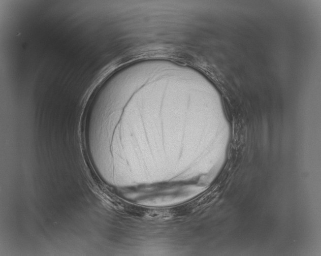 X0000073840099200609071551