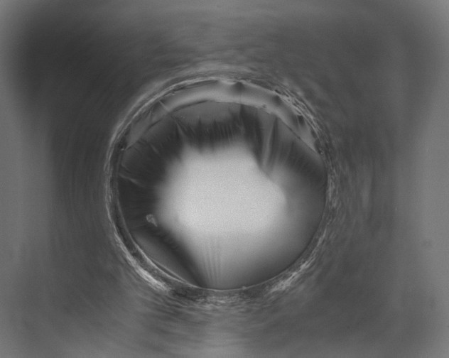 X0000073840101200609071551