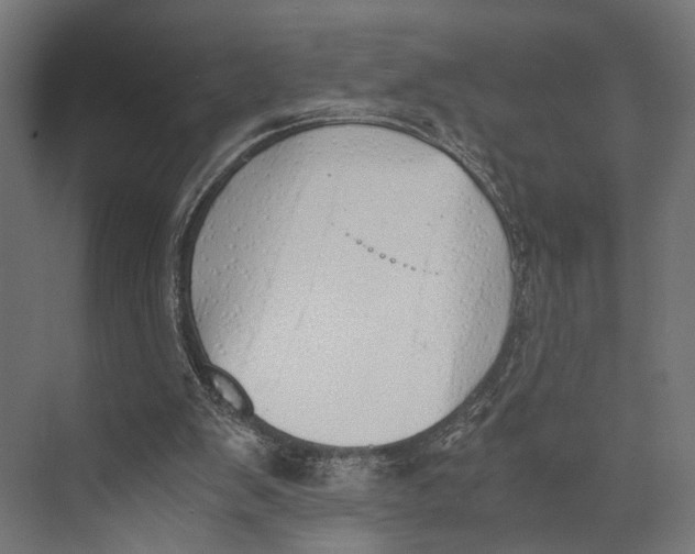 X0000073840103200609071551