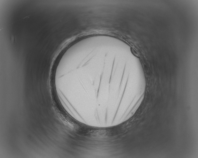 X0000073840104200609071551