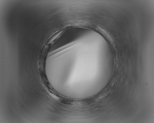 X0000073840105200609071551