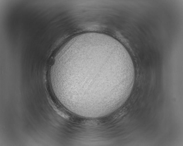 X0000073840106200609071551