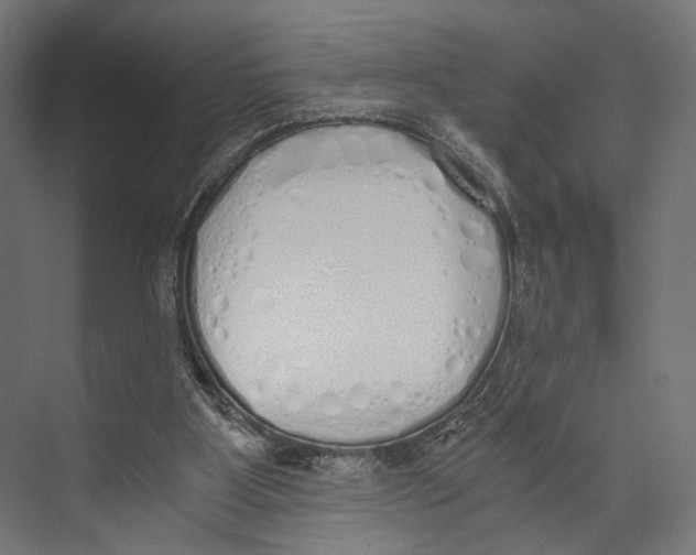 X0000073840107200609071551