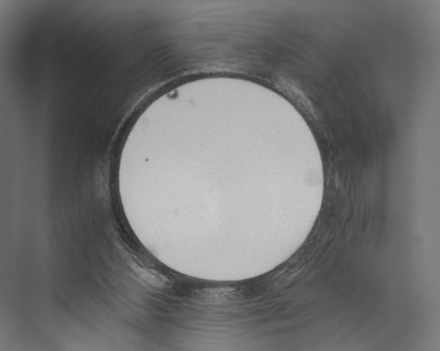 X0000073840108200609071551