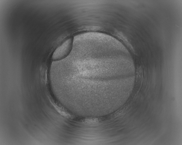 X0000073840110200609071551