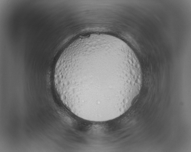 X0000073840111200609071551