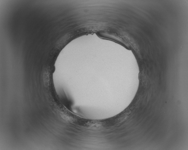 X0000073840113200609071551