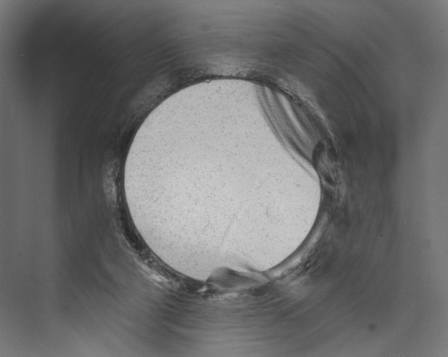 X0000073840114200609071551